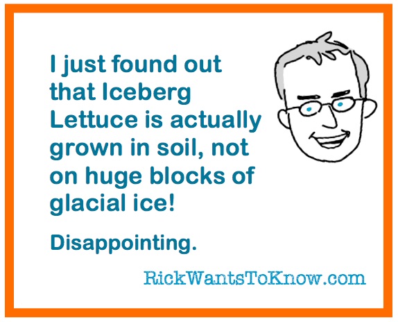 Lettuce Meme
